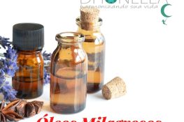 O poder mágico da aromaterapia: como cada óleo ajuda você?